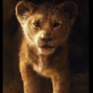 Meet your Posher, Asha